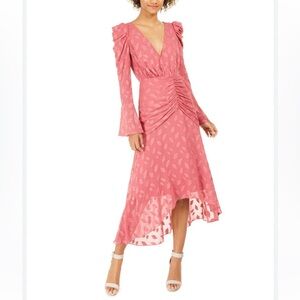 BNWT Rachel Zoe Pink Vicente Embroidered Midi Dress